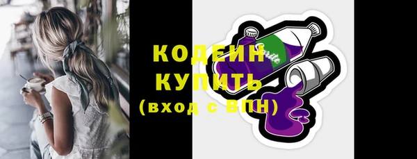 индика Богородицк
