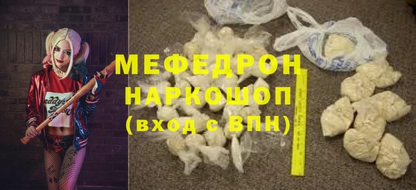 индика Богородицк
